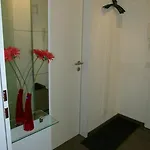 Am Skikarussel Apartment
