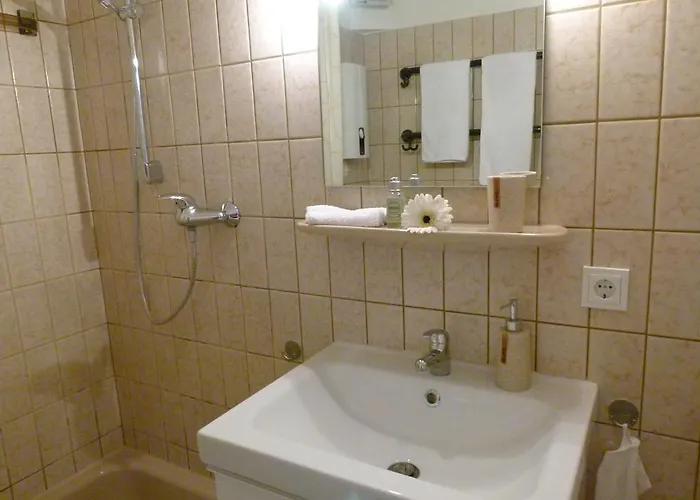 Appartement Am Skikarussel